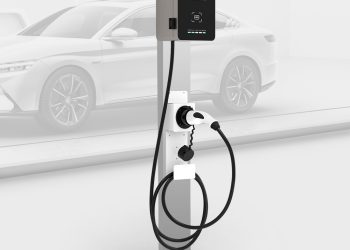 Electric Vehicles Future: In 2025, Which Brands Will Lead the Charge?