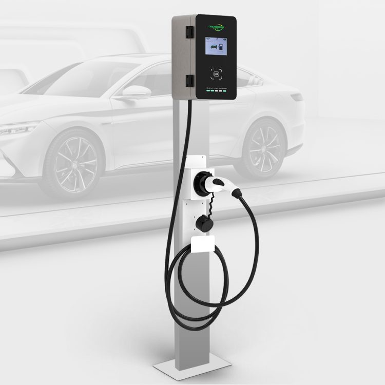 Electric Vehicles Future: In 2025, Which Brands Will Lead the Charge?
